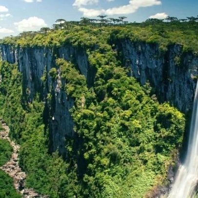 Cadastro reserva em Educação e Assistência Social em Novo Cabrais