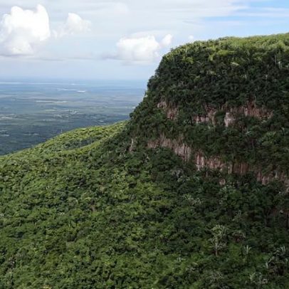 ICMBio abre concurso para agente ambiental temporário em Viçosa do Ceará CE