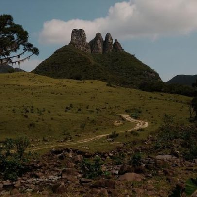 Prefeitura de Brunópolis SC abre processo seletivo com 4 vagas imediatas