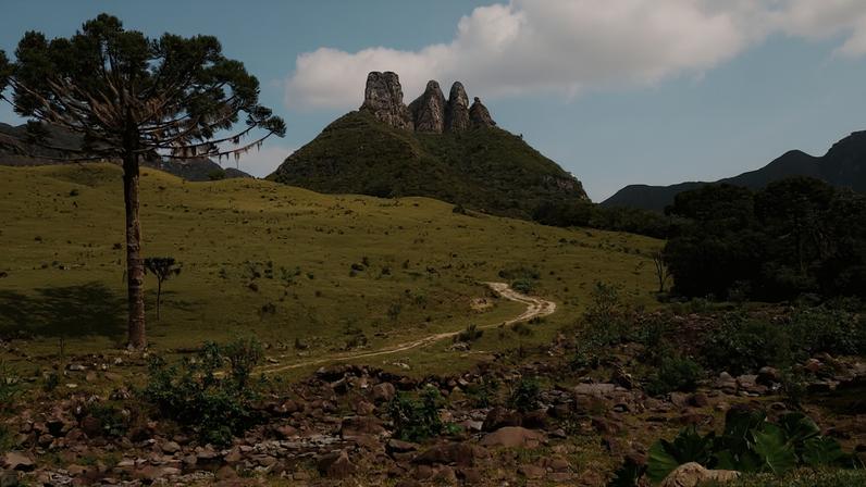 Paisagem do Planalto Sul Catarinense