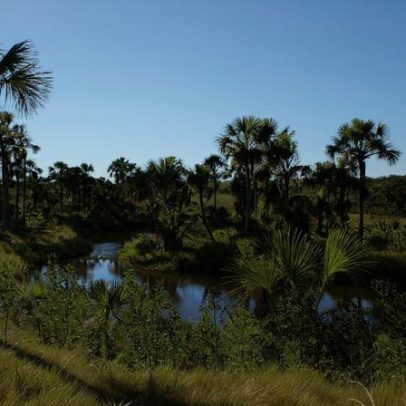 ICMBio abre processo seletivo em Chapada Gaúcha para cadastro reserva
