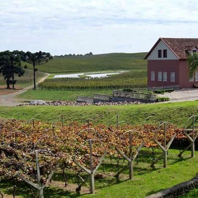 Concurso da Prefeitura e Câmara de Flores da Cunha terá retificações em maio