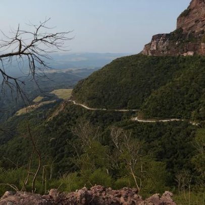 ICMBio: 1 vaga de agente temporário na FLONA Caçador, SC