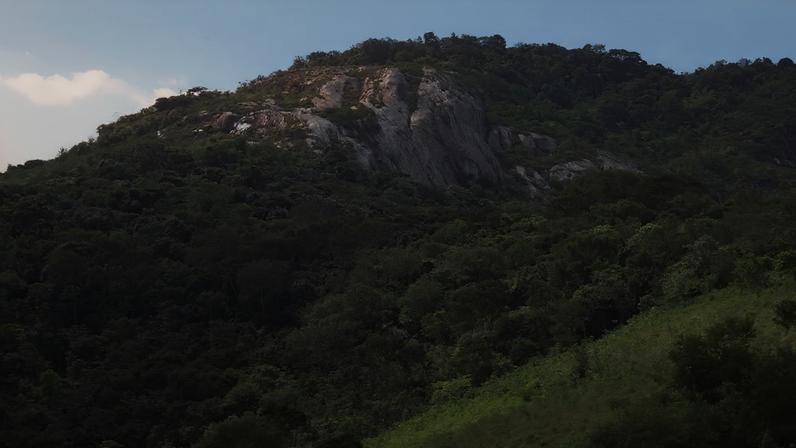 Landscape de Mata Atlântica com relevo montanhoso na região da Reserva Biológica de Pedra Talhada AL e PE. Crédito: Wikipédia.