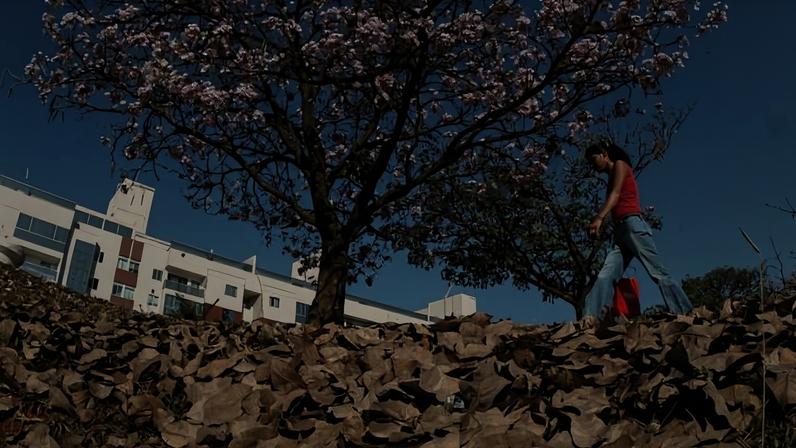1 de 1 outonodf - Foto: Agência Brasília