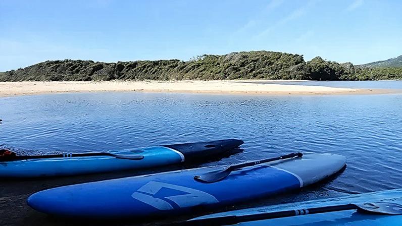 Profits from the paddleboarding excursions are being used to help revitalise the Gumbaynggirr language
