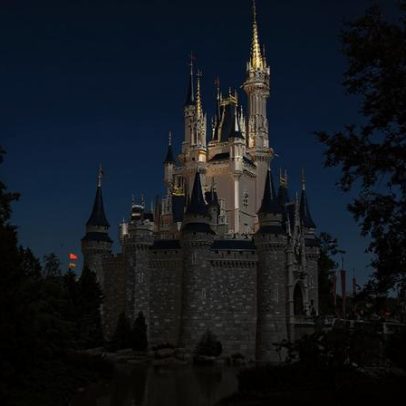 Pai é banido da Disney após agredir funcionário para ver personagem