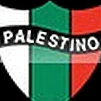 Palestino enfrenta Montevideo City Torque ao vivo pela Sul-Americana 2026