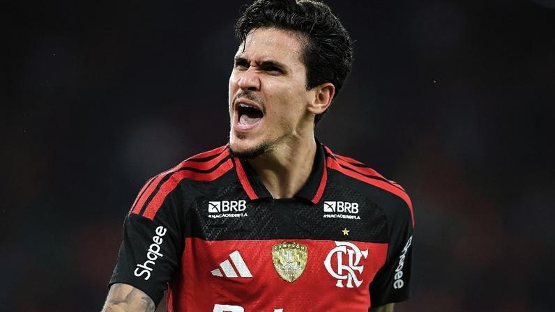 Pedro, do Flamengo, comemora gol marcado contra o Santos, no Brasileirão