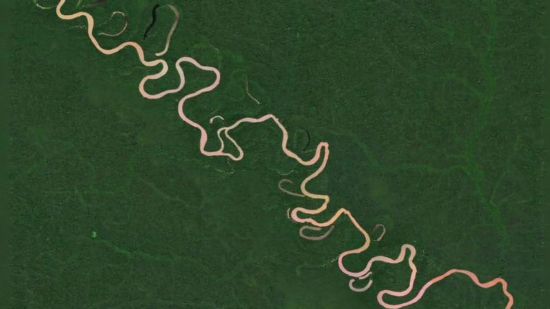 Subinvestimento em informação ameaça o bem-estar coletivo