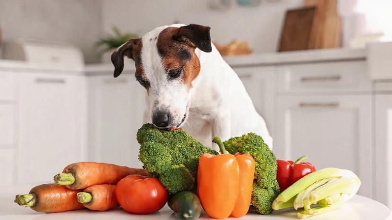 Associação publica diretrizes nutricionais com brócolis, couve e peixes oleosos para reduzir tumores