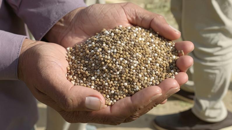 Em 2025, o país importou 88% dos adubos usados nos plantios e bateu um recorde histórico, ao adquirir 45,5 milhões de toneladas no ano, aponta relatório da Cogo Inteligência em Agronegócios. — Foto: Foto de Kashif Shah