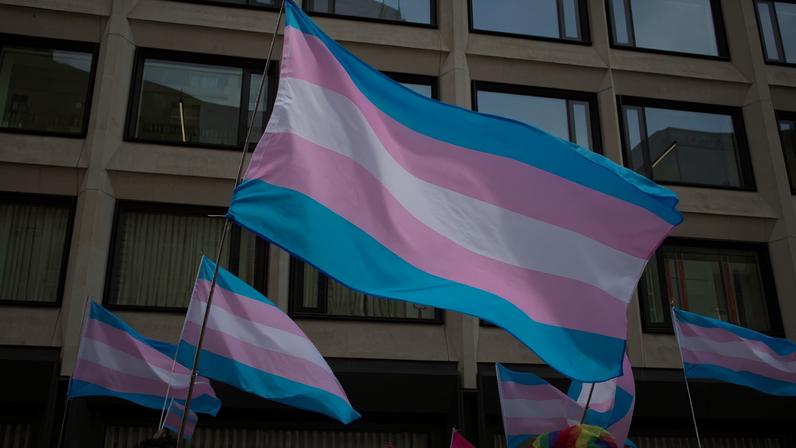 1 de 1 bandeira trans - Foto: Philip Yabut via Getty Images