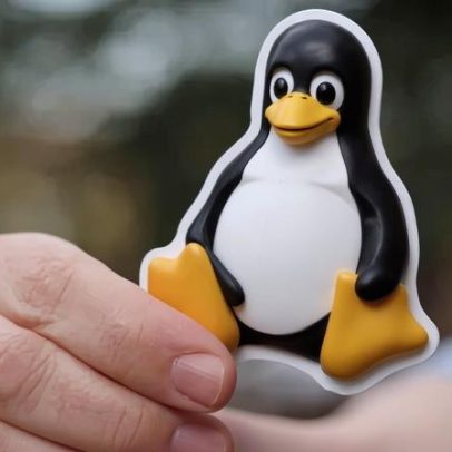 Vulnerabilidade no Linux permitia controle total a qualquer usuário