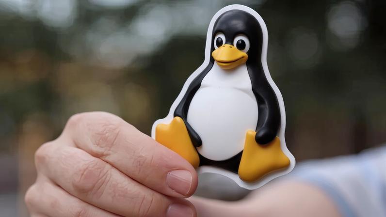 Vulnerabilidade no Linux permitia controle total a qualquer usuário