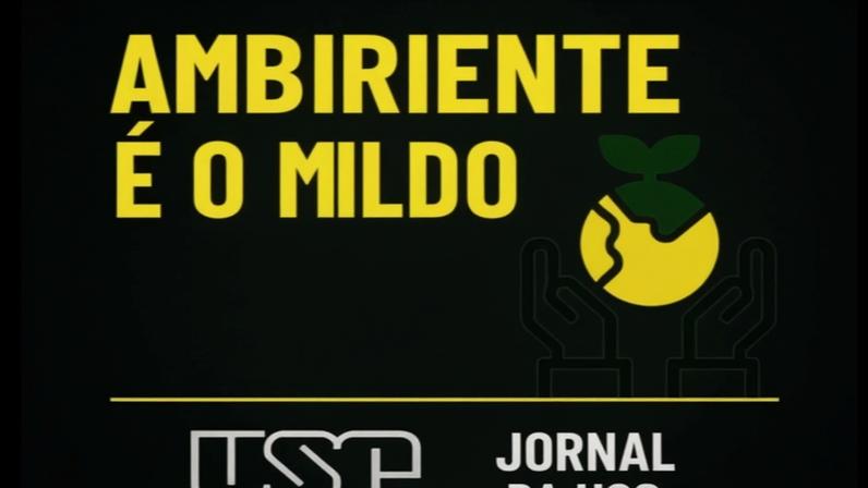 Ambiente é o Meio - USP