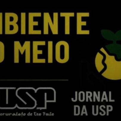 Estudo aponta Cerrado com mais de mil toneladas de carbono por hectare