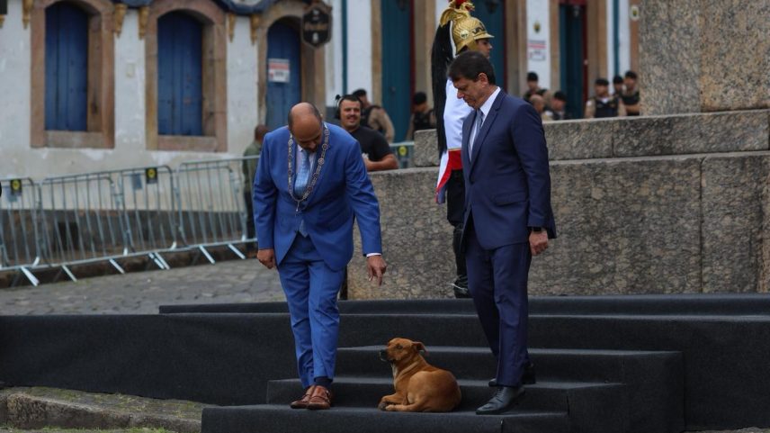 Mateus Simões (PSD) e Tarcísio de Freitas (Republicanos) dividem espaço com um cachorro caramelo durante solenidade em Ouro Preto