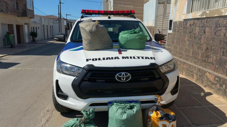 Imagem colorida mostra metadinha com plantão de maconha e carro da PM - Metrópoles