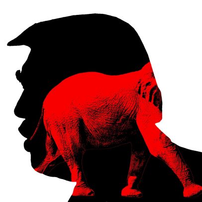 MAGA começa a mirar além de Trump em busca de novos líderes