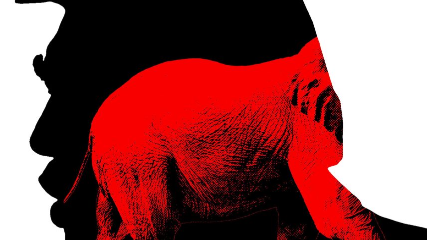 A red elephant walking out of frame within a silhouette of Trump's head