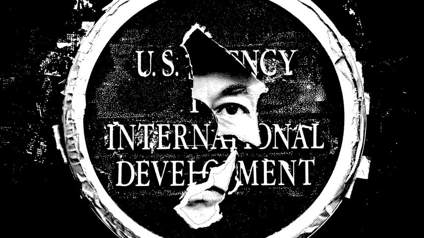 Collage of a ripped USAID logo with Elon Musk's face peering through the holes