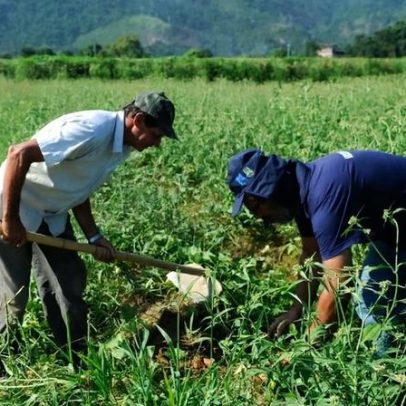 Agricultura abandonada pode pôr infraestrutura em risco