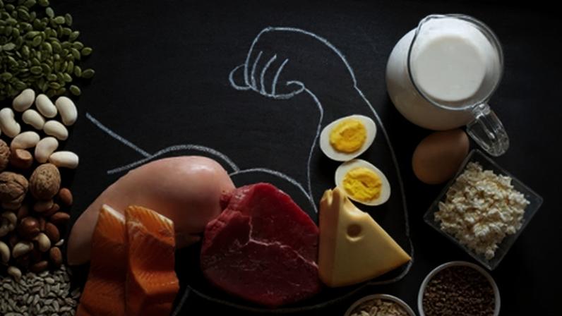 Proteínas são fundamentais para o funcionamento do organismo