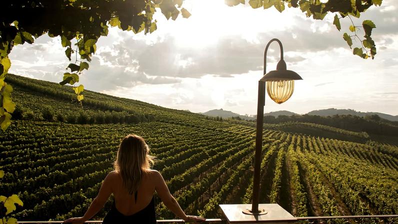 Cotiporã integra a Serra Gaúcha, região reconhecida por vales, vinhedos e forte herança italiana. Crédito: wine-locals.com.