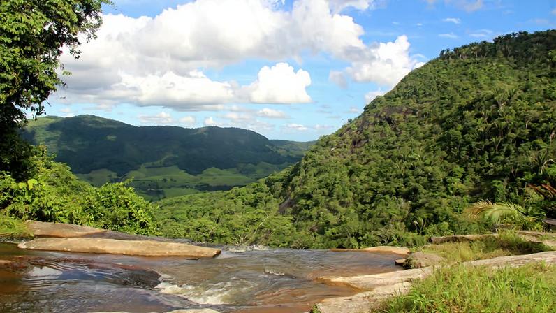 Trecho da Mata Atlântica em Alagoas. Crédito: ima.al.gov.br.