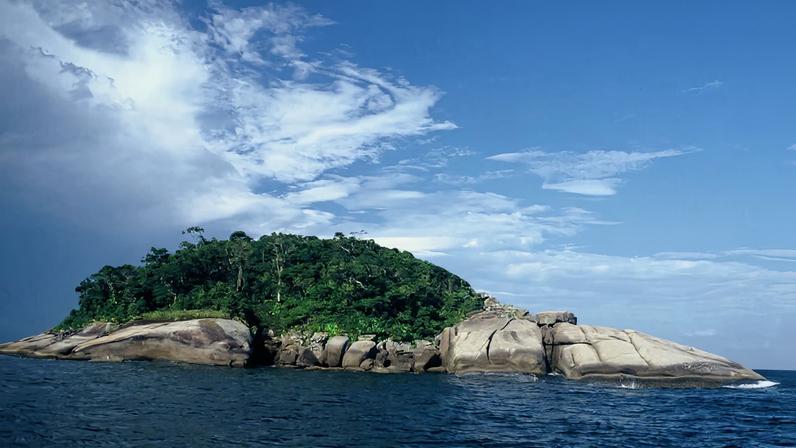 Manguezal e ambiente costeiro semelhantes aos encontrados em Florianópolis SC, área de atuação do NGI do ICMBio. Crédito: Governo Federal.