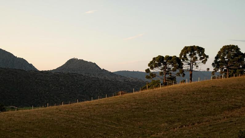 Vista urbana de cidade da Zona da Mata, com ruas arborizadas e montanhas ao fundo