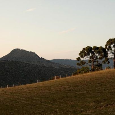 Prefeitura de Painel SC anuncia processo seletivo com cadastro reserva