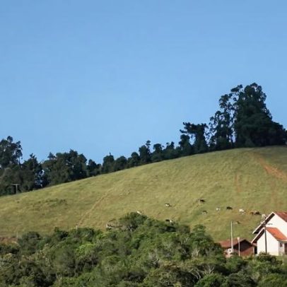 Prefeitura de Teixeira Soares PR abre processo seletivo com 41 vagas