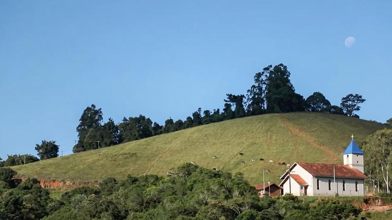 Cena dos Campos Gerais do Paraná, região de Teixeira Soares. Crédito: Cidade e Cultura.