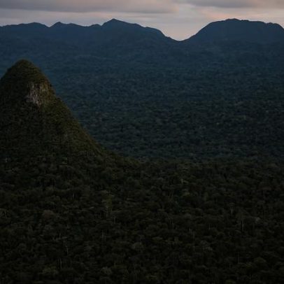 ICMBio Alto Caparaó abre processo seletivo com 1 vaga de agente ambiental