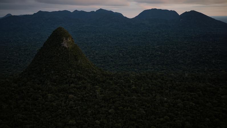 Vista aérea da Mata Atlântica na região do Caparaó
