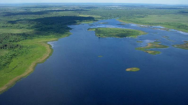Paisagem de manguezais e áreas úmidas na costa do Amapá, ecossistema característico do Cabo Orange