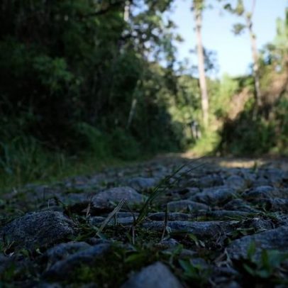 Prefeitura de Campo Alegre (SC) abre cadastro reserva em diversas áreas