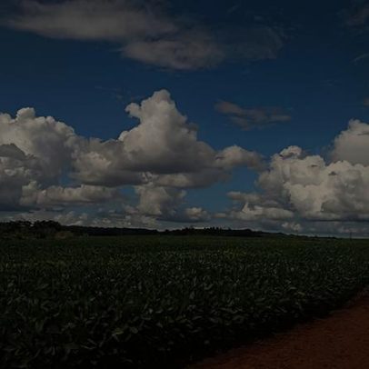 Prefeitura de Feliz Natal MT abre processo seletivo com 4 vagas em Saúde