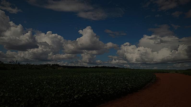 Paisagem rural do norte de Mato Grosso, região de forte agronegócio. Crédito: MST.