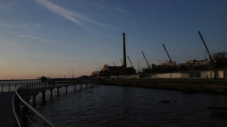 Aves migratórias sobre áreas alagadas na Estação Ecológica do Taim, no extremo sul do Rio Grande do Sul
