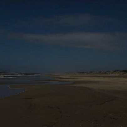 Palmares do Sul RS abre processo seletivo para agente de endemias