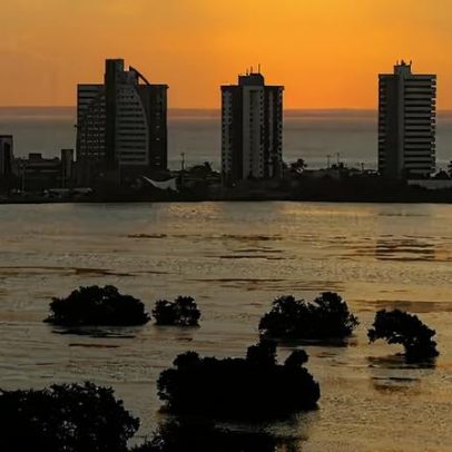 IFMA Campus Pinheiro abre processo seletivo com 1 vaga de professor substituto