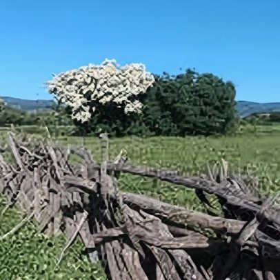 FAHECE Florianópolis abre processo para analista de contratos I com 1 vaga
