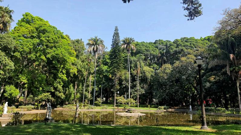 Áreas verdes no interior paulista ao entardecer
