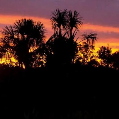 ICMBio Parque Nacional das Emas (GO) abre processo seletivo para cadastro reserva