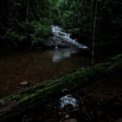 ICMBio abre cadastro reserva de agente temporário ambiental em Santa Teresa, ES