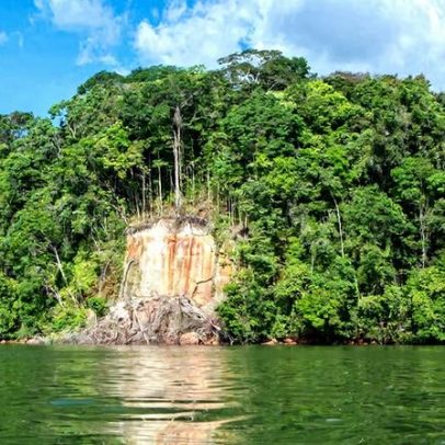Processo seletivo ICMBio Santarém PA abre vaga para agente ambiental temporário