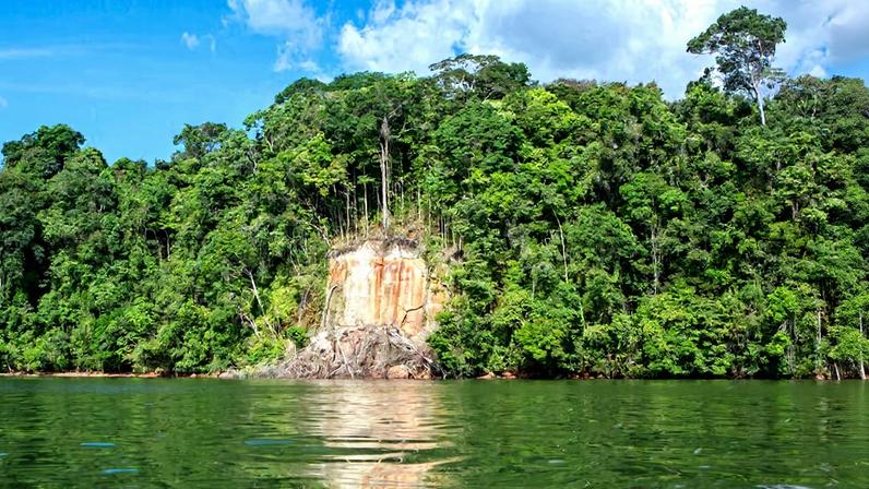 Paisagem amazônica com vegetação densa e trecho de água sob céu limpo